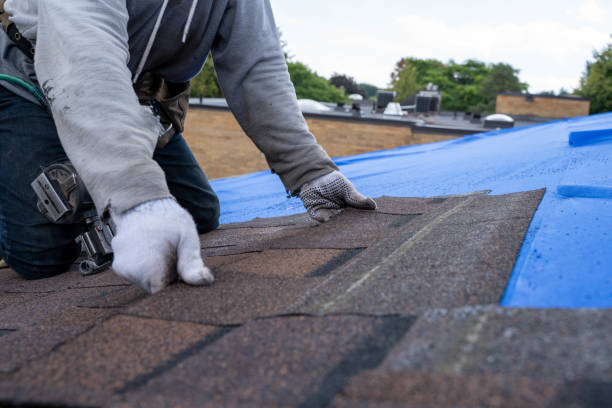 Best Roof Maintenance Services  in Buena, NJ