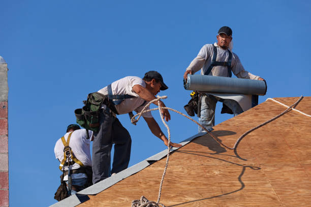 Best Flat Roof Repair Services  in Buena, NJ