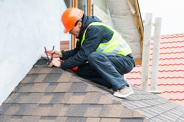 Best Roof Gutter Cleaning  in Buena, NJ